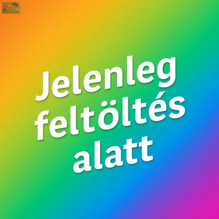 Profiszintű egyedi gyártású 12 érintéses  játékos