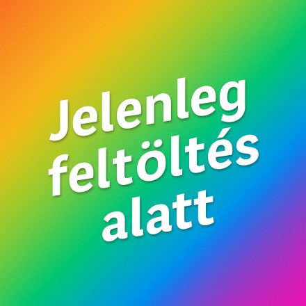 12 érintéses fehérhálós függönyös kapu