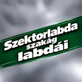 Szektorlabda labdák