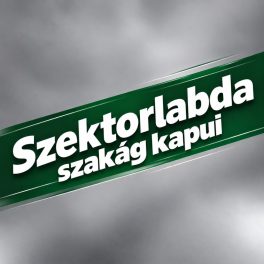 Szektorlabda kapuk