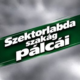 Szektorlabda pálcák