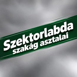 Szektorlabda pályák