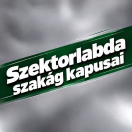Szektorlabda kapusok