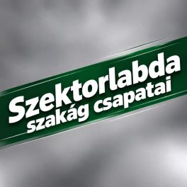 Szektorlabda csapatok